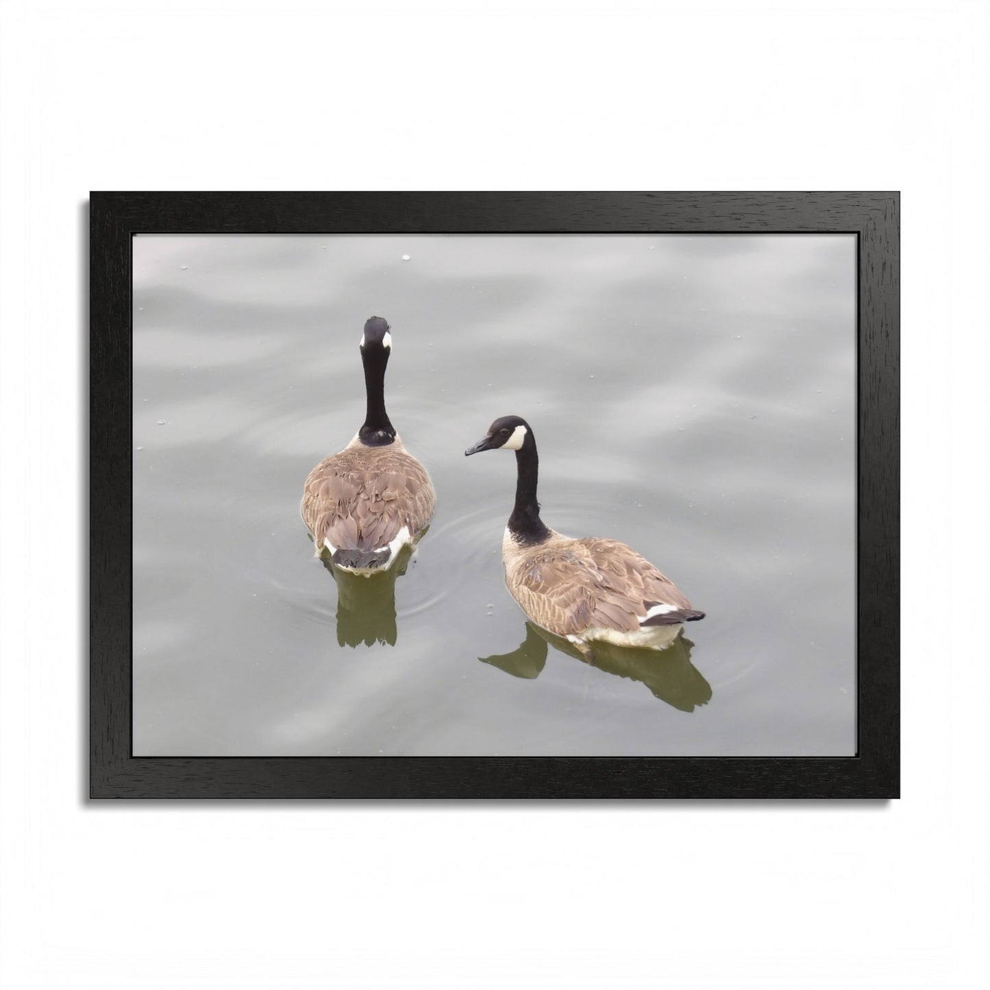 Canada Geese Wall Art Framed Photo Print — Serene Lake Nature Poster