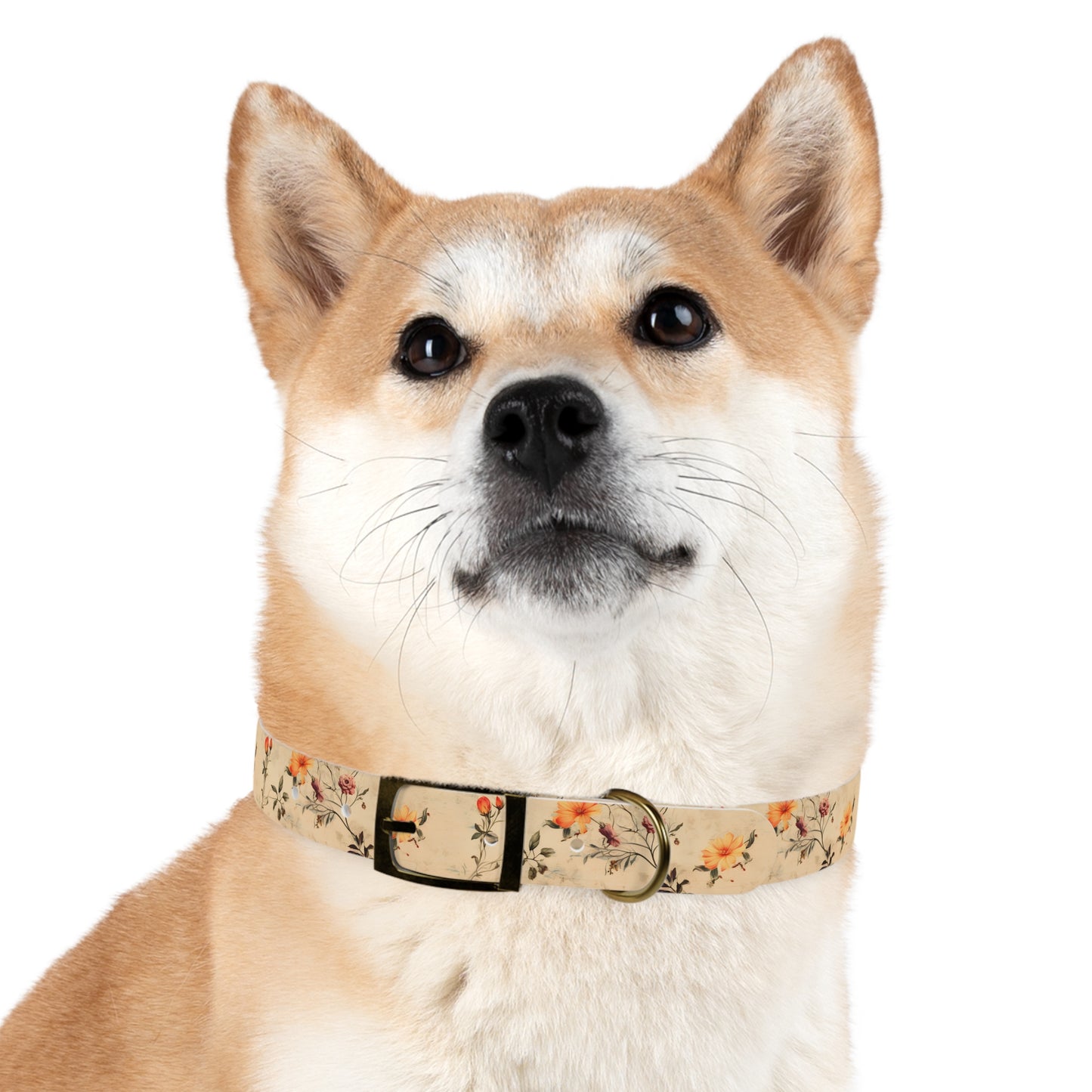 Floral Vintage Dog Collar – Peach Rose Print Pet Collar