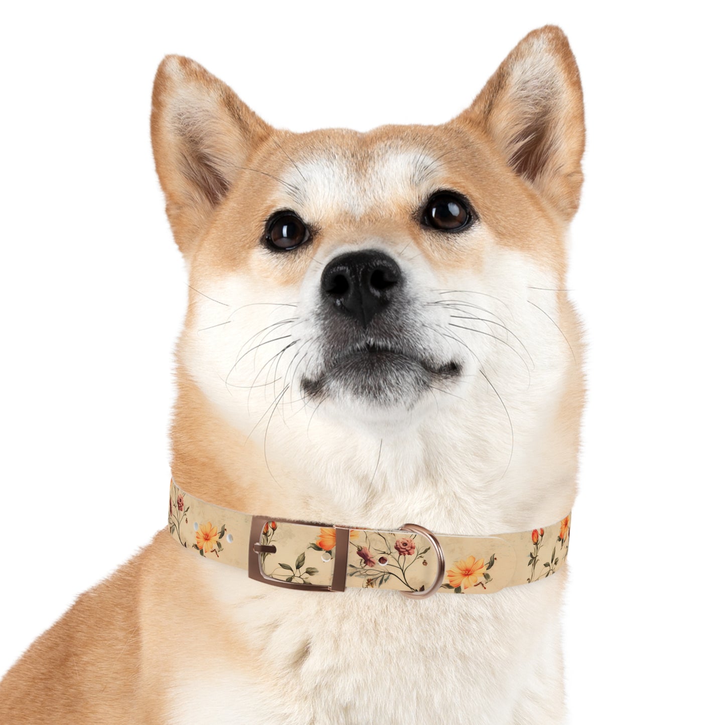 Floral Vintage Dog Collar – Peach Rose Print Pet Collar