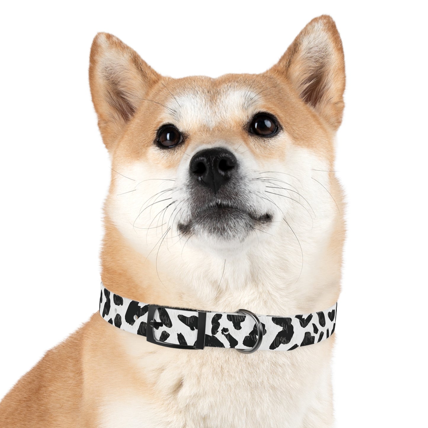Cow Print Dog Collar — Black & White Spot Pattern