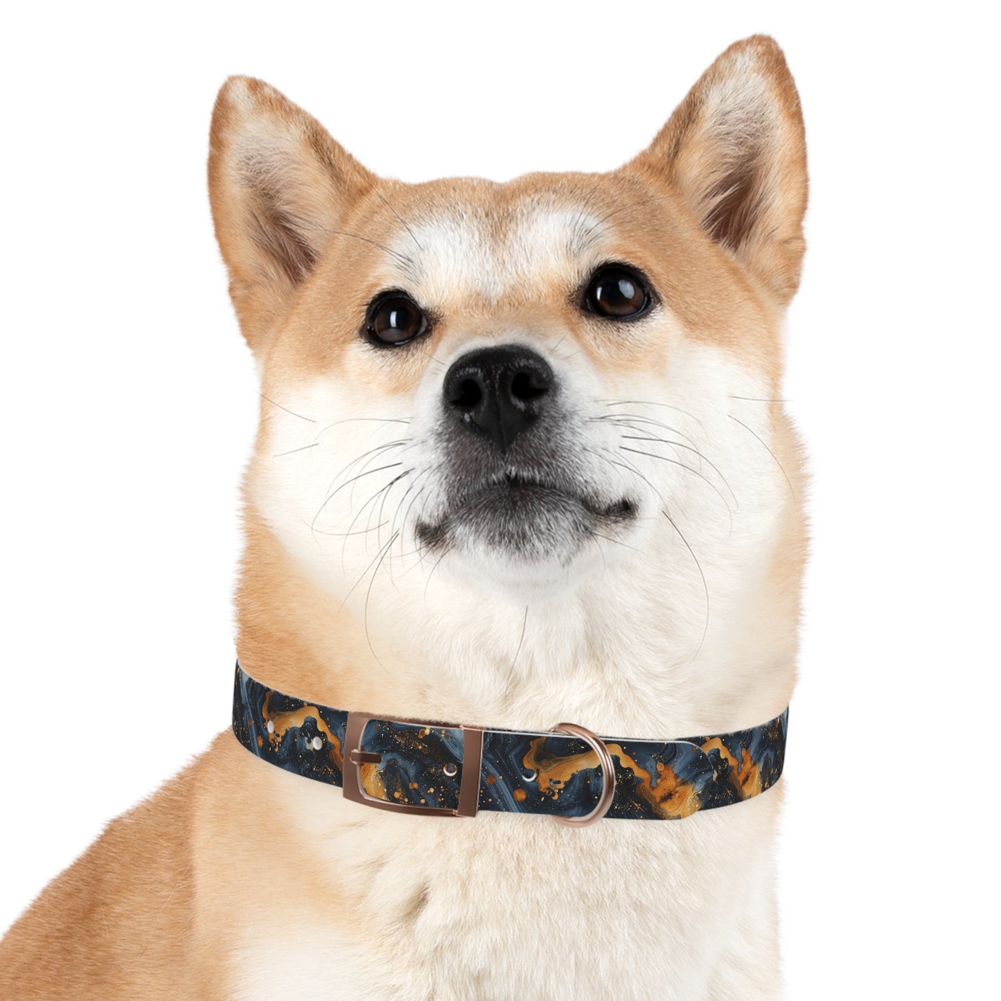 Celestial Marbled Dog Collar — Black & Gold Abstract Galaxy Pattern