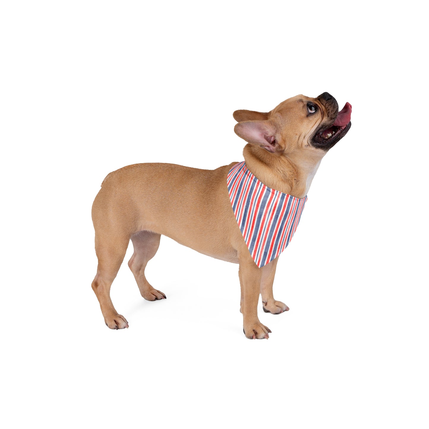 Patriotic Red White Blue Striped Pet Bandana — Americana Dog & Cat Accessory for 4th of July