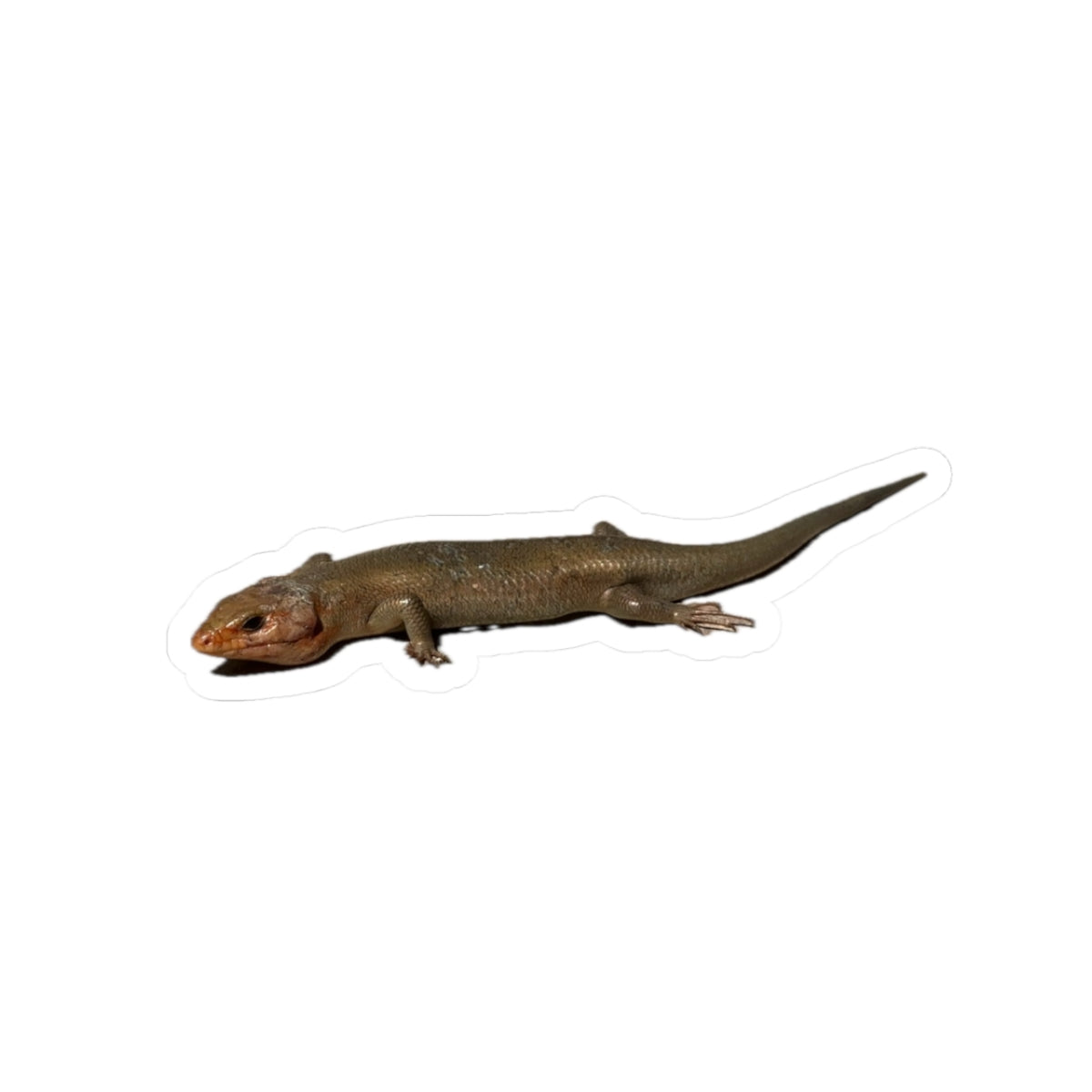 Brown Skink Lizard Kiss-Cut Sticker — Realistic Reptile Laptop Decal