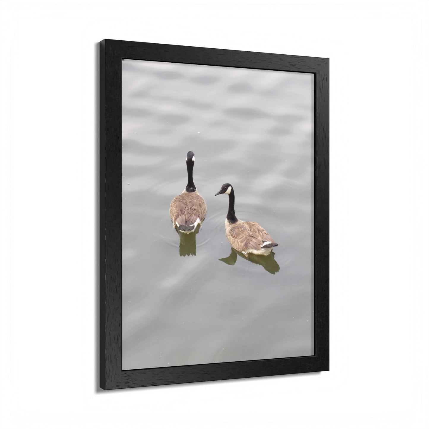 Canada Geese Wall Art Framed Photo Print — Serene Lake Nature Poster