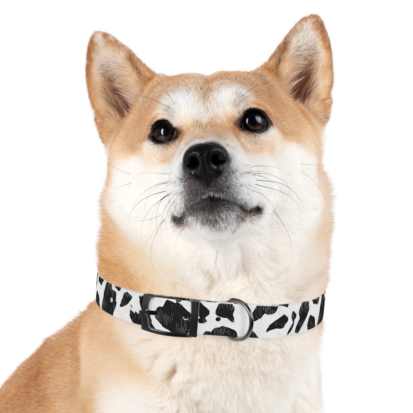 Cow Print Dog Collar — Black & White Spot Pattern