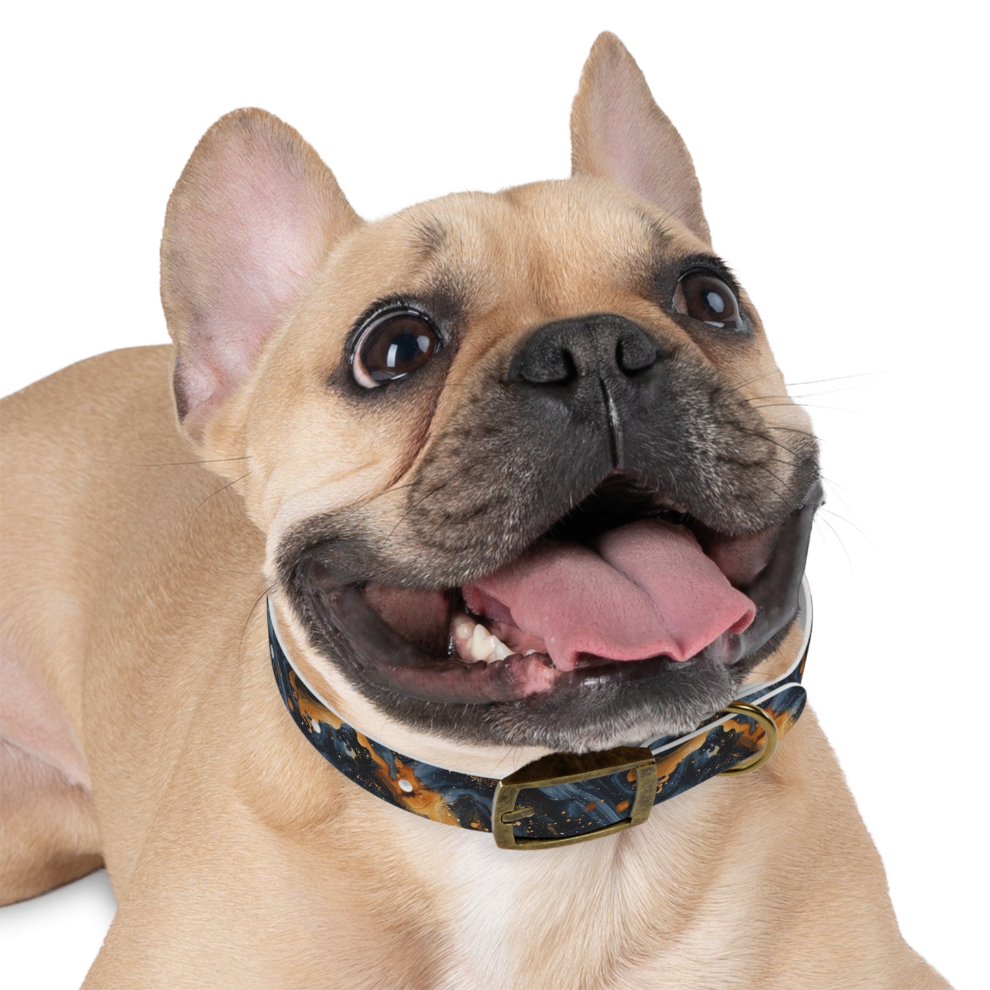 Celestial Marbled Dog Collar — Black & Gold Abstract Galaxy Pattern