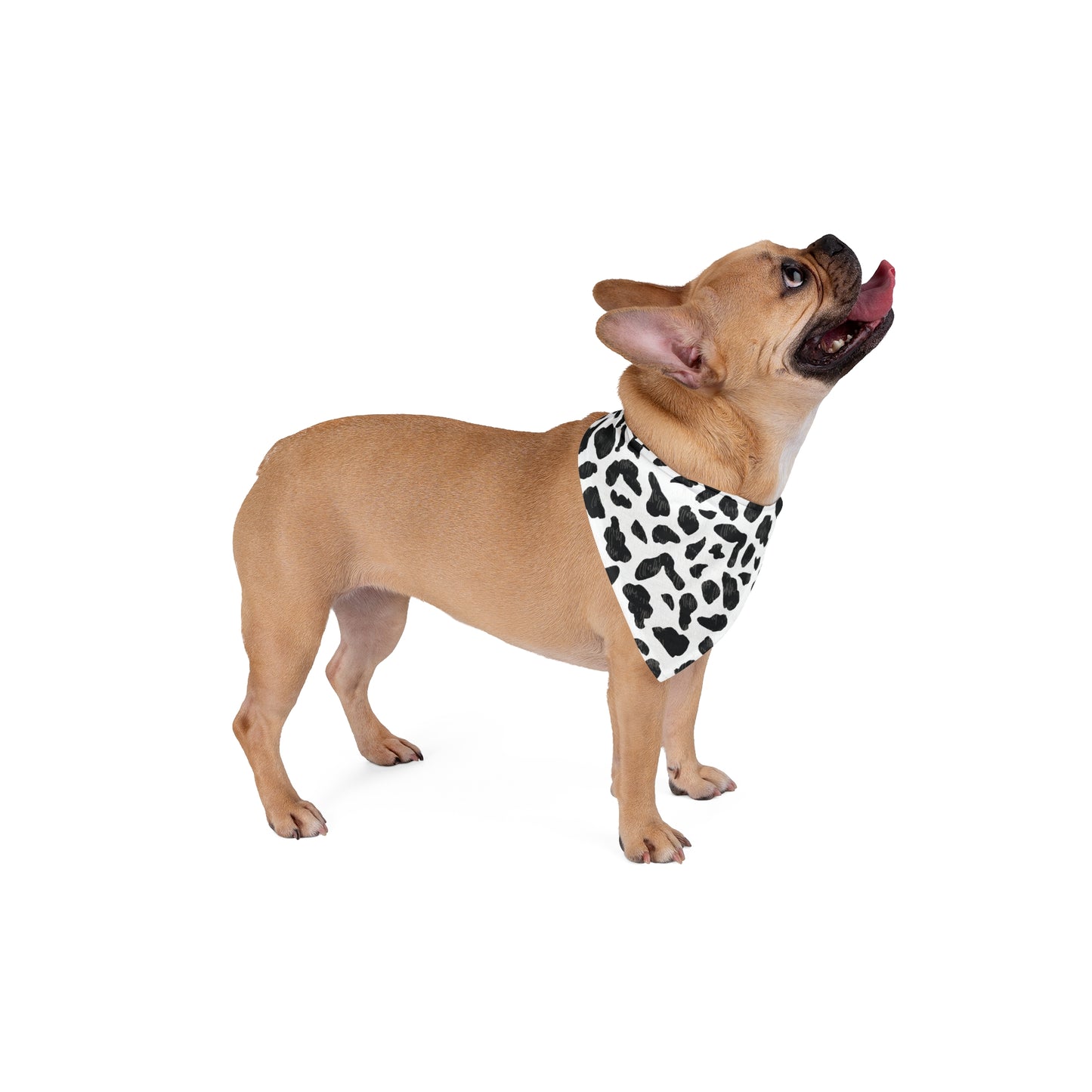 Cow Print Pet Bandana — Black & White Triangle Dog Bandana