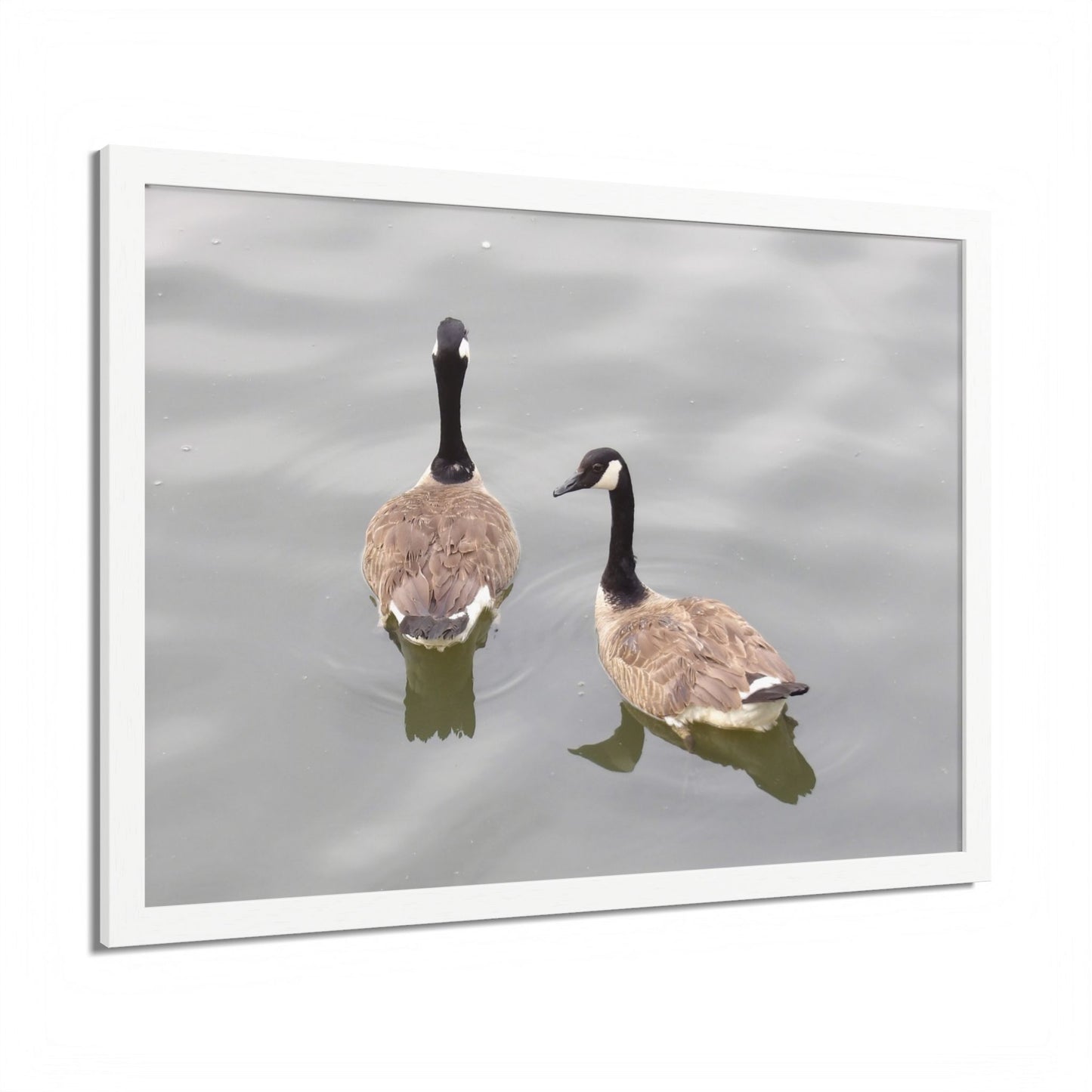 Canada Geese Wall Art Framed Photo Print — Serene Lake Nature Poster