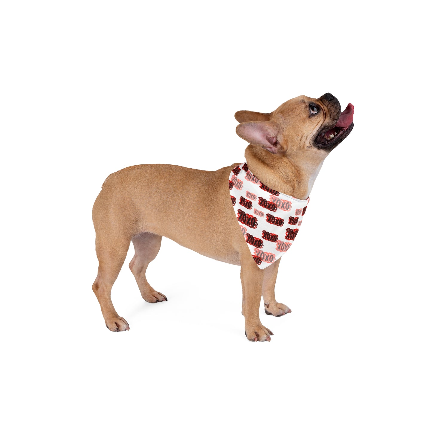 Pet Bandana — Red & Pink "XOXO" Valentine Dog Bandana