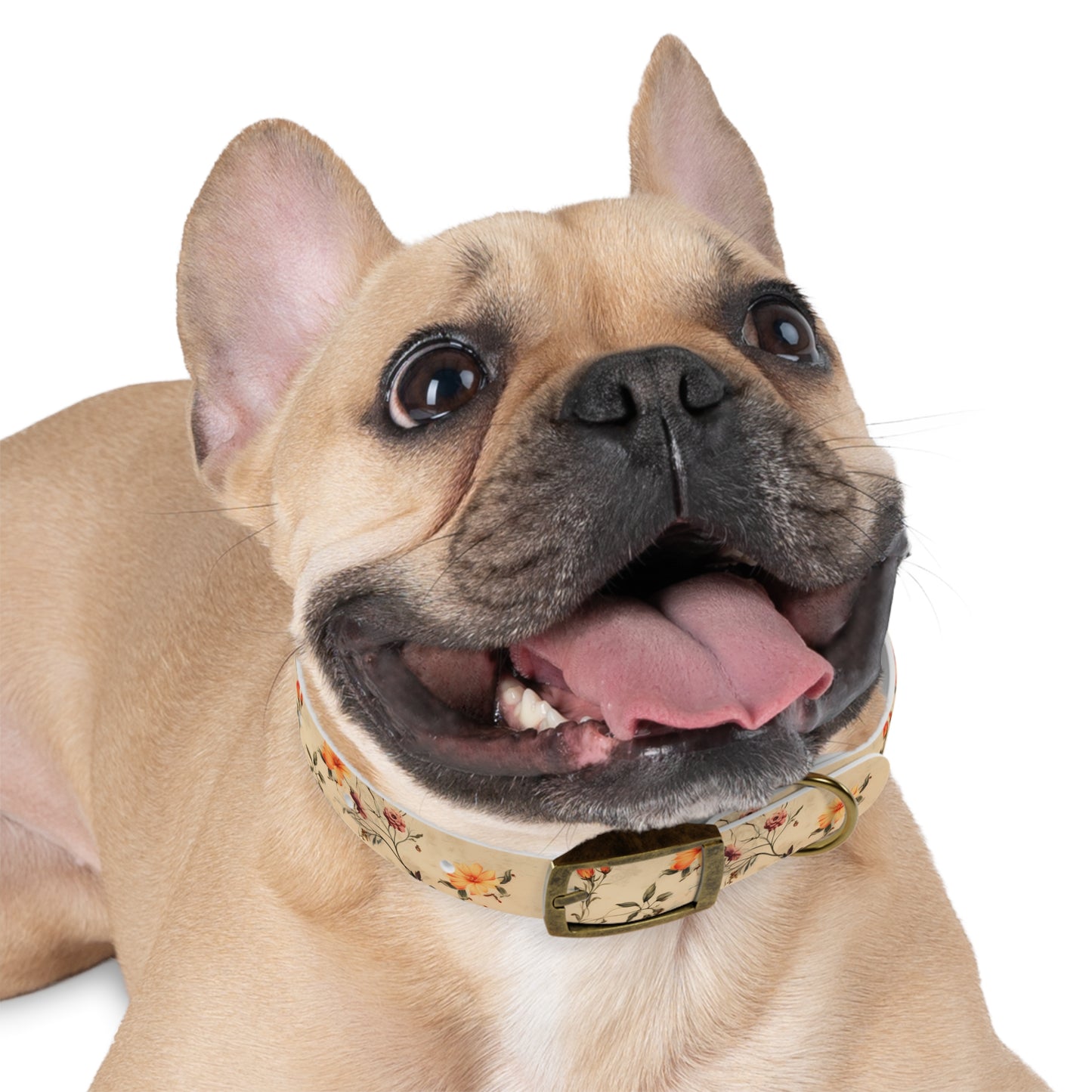Floral Vintage Dog Collar – Peach Rose Print Pet Collar
