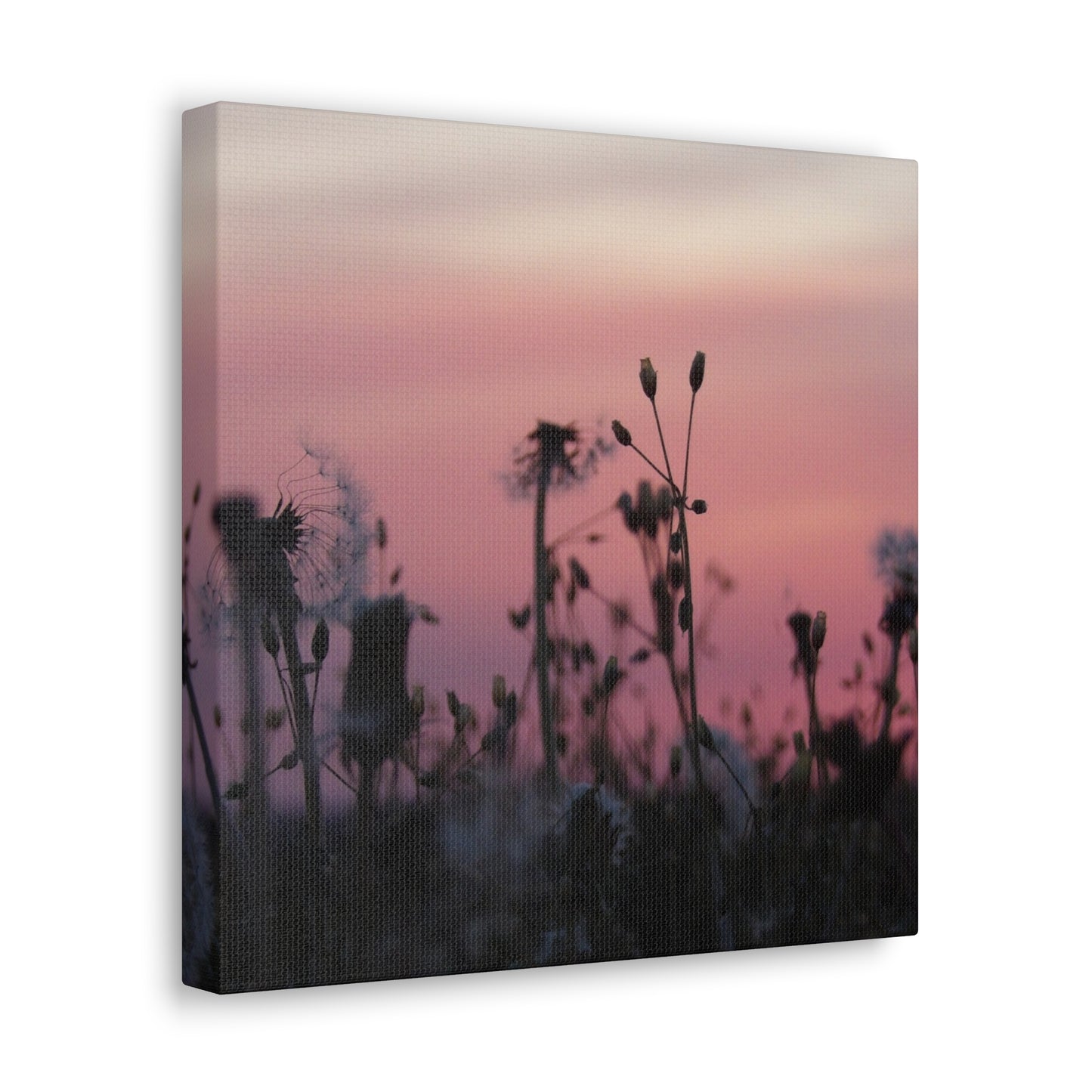 Canvas Wall Art - Silhouetted Wildflowers at Pink Sunset