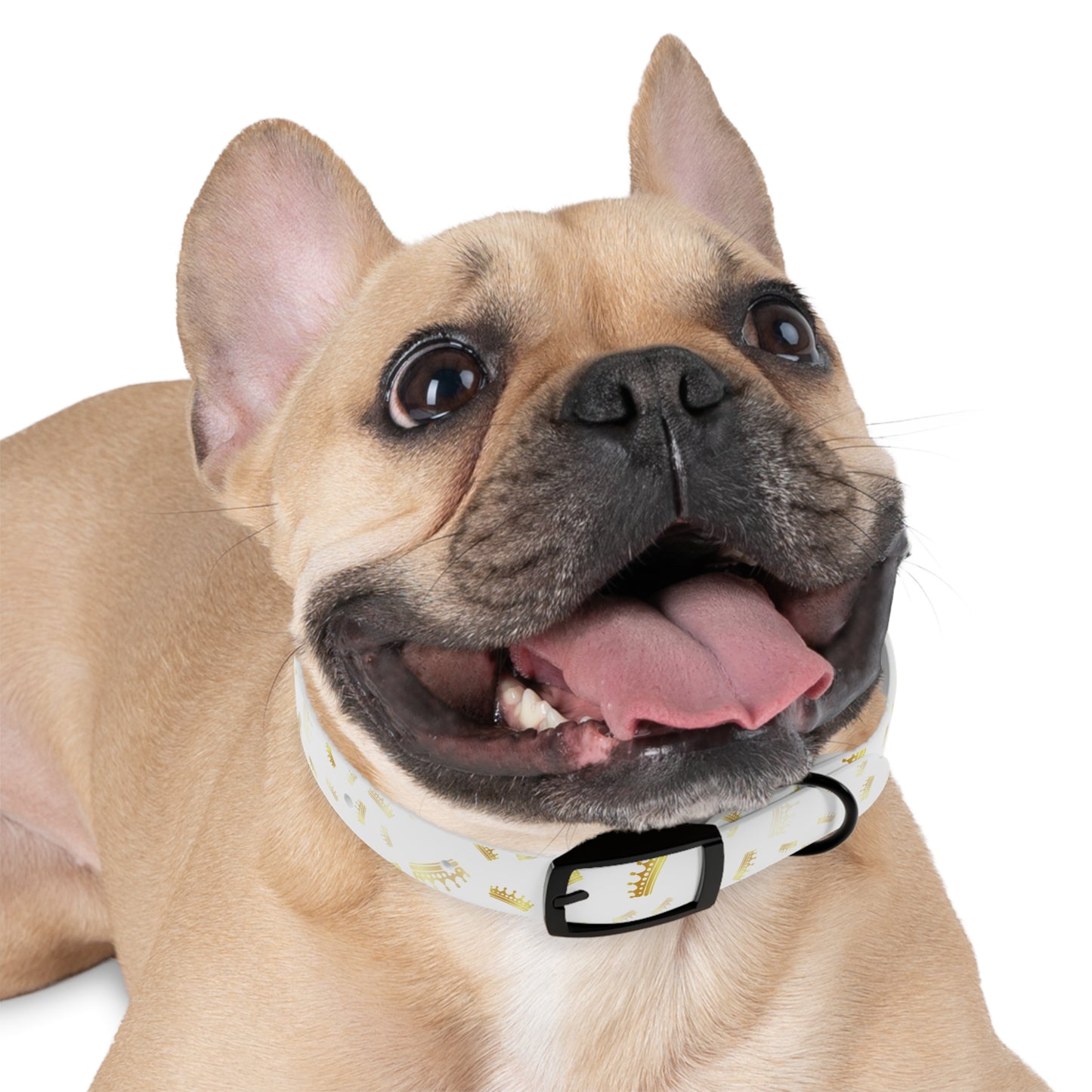 Gold Crown Pattern Dog Collar — Royal Pet Collar for Small & Large Dogs