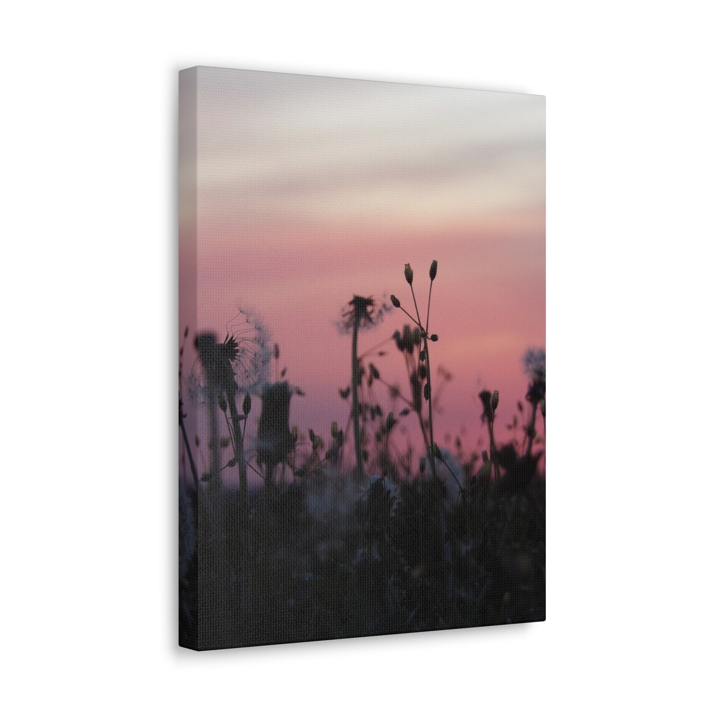 Canvas Wall Art - Silhouetted Wildflowers at Pink Sunset
