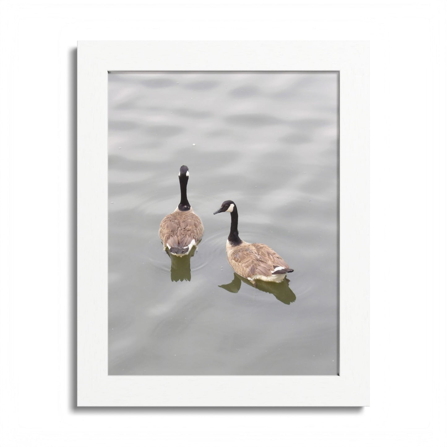Canada Geese Wall Art Framed Photo Print — Serene Lake Nature Poster