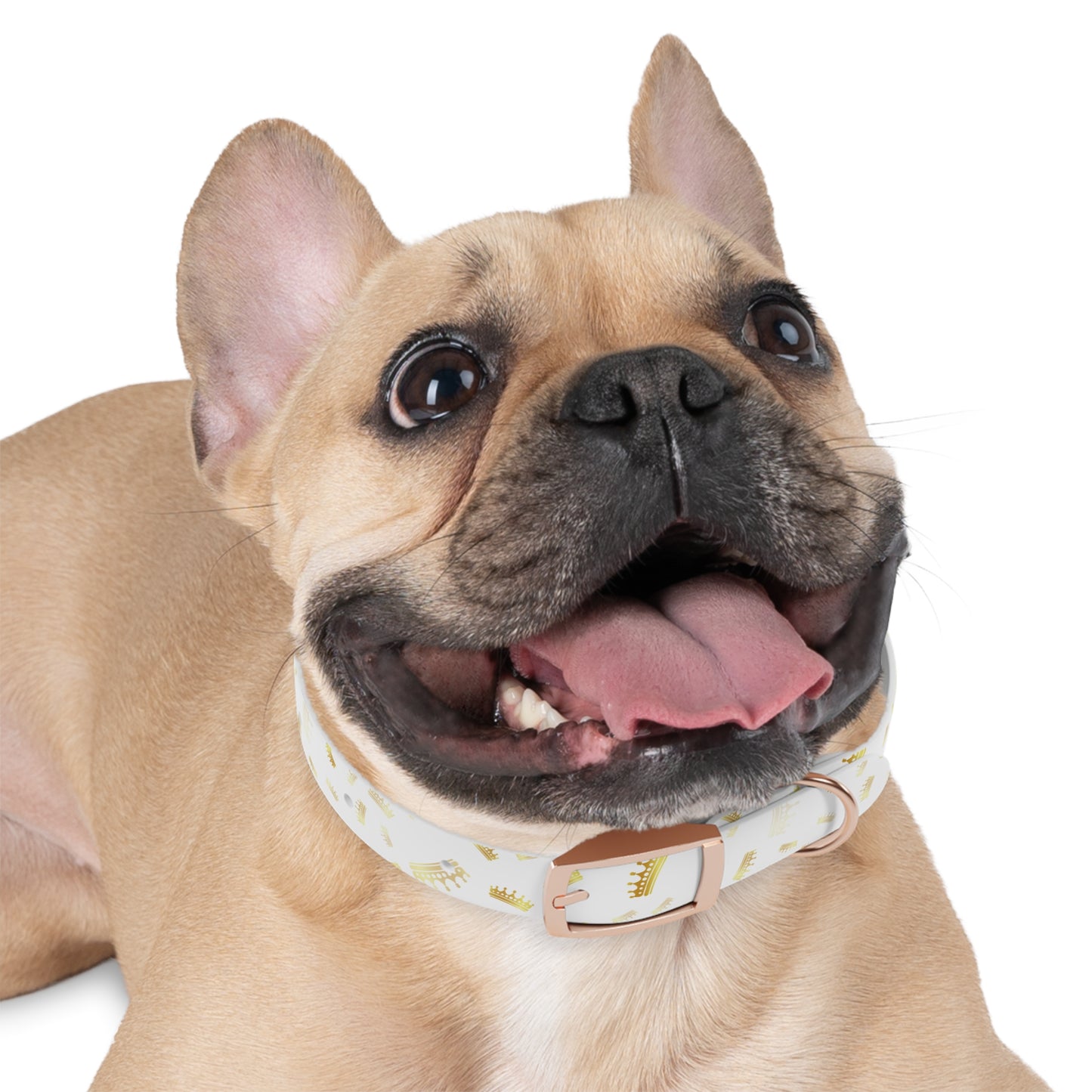 Gold Crown Pattern Dog Collar — Royal Pet Collar for Small & Large Dogs