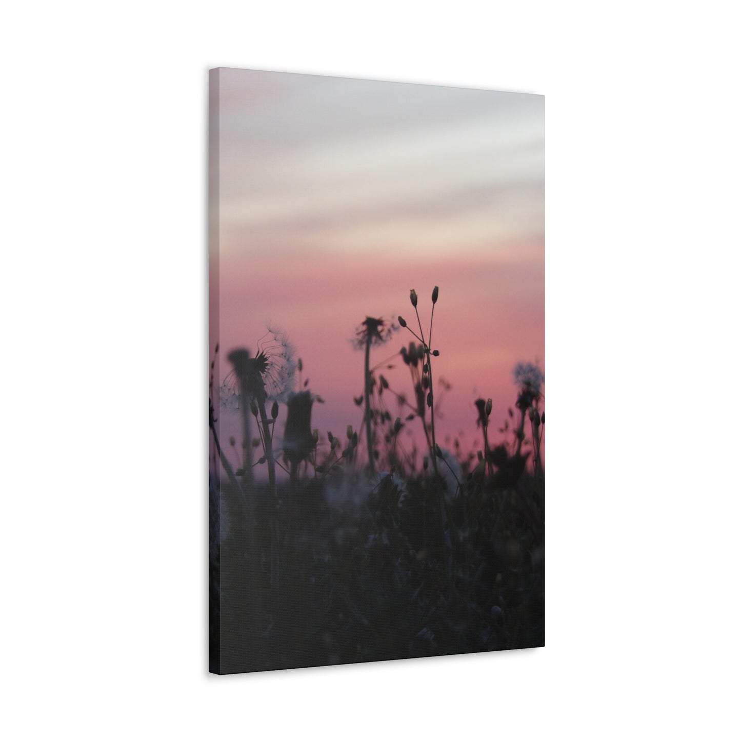 Canvas Wall Art - Silhouetted Wildflowers at Pink Sunset