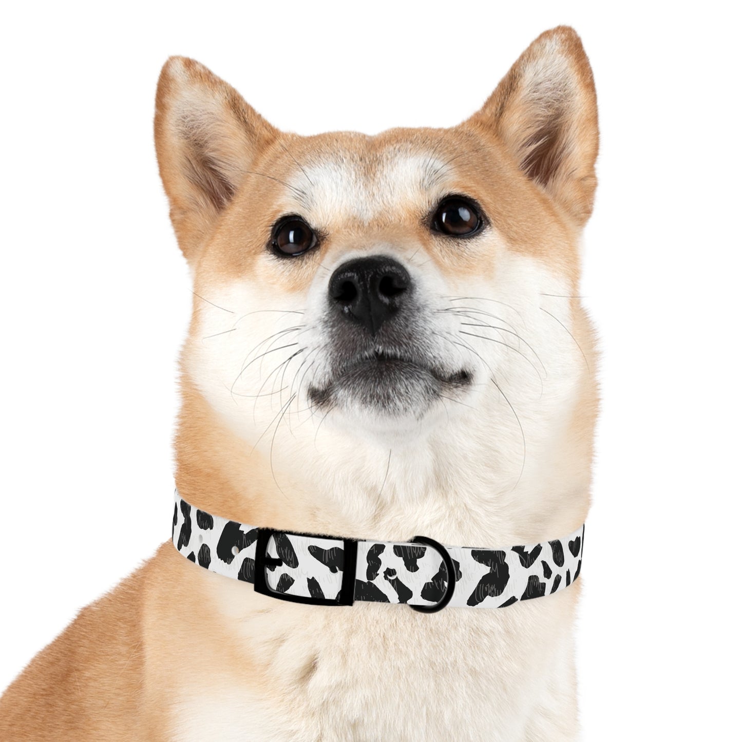 Cow Print Dog Collar — Black & White Spot Pattern