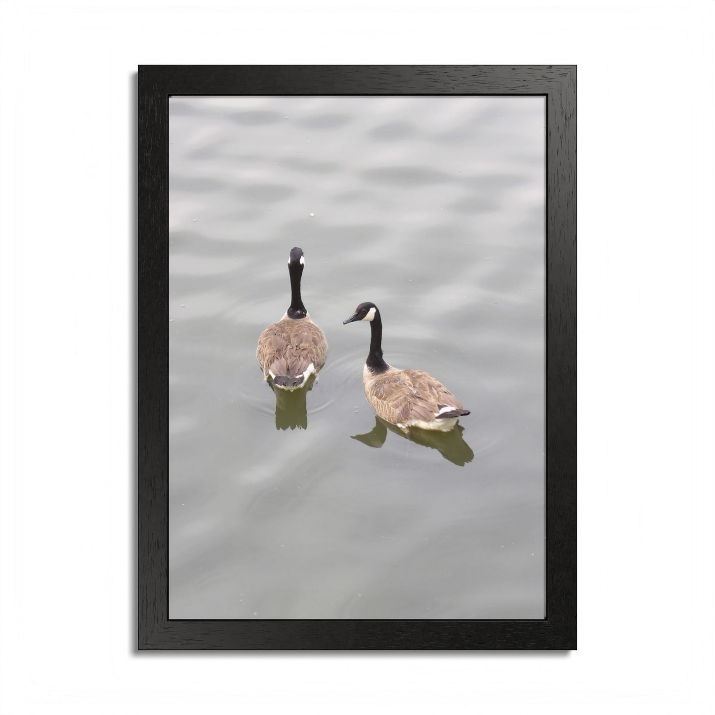 Canada Geese Wall Art Framed Photo Print — Serene Lake Nature Poster