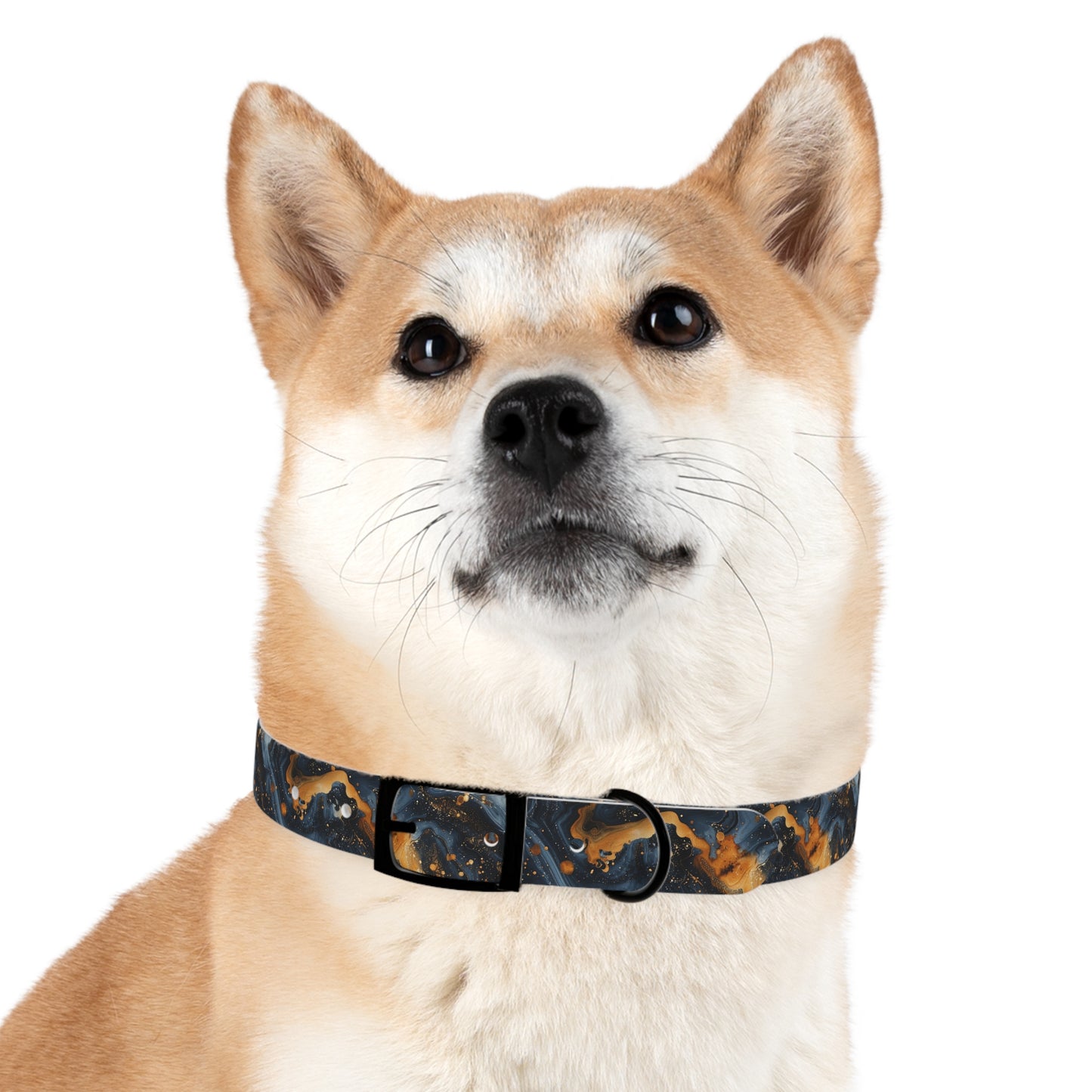 Celestial Marbled Dog Collar — Black & Gold Abstract Galaxy Pattern