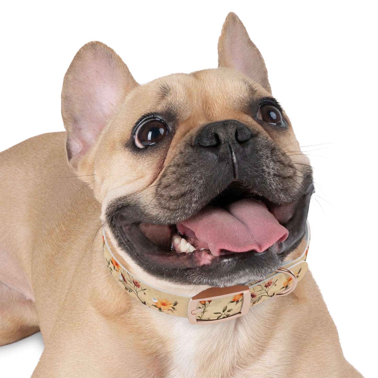 Floral Vintage Dog Collar – Peach Rose Print Pet Collar