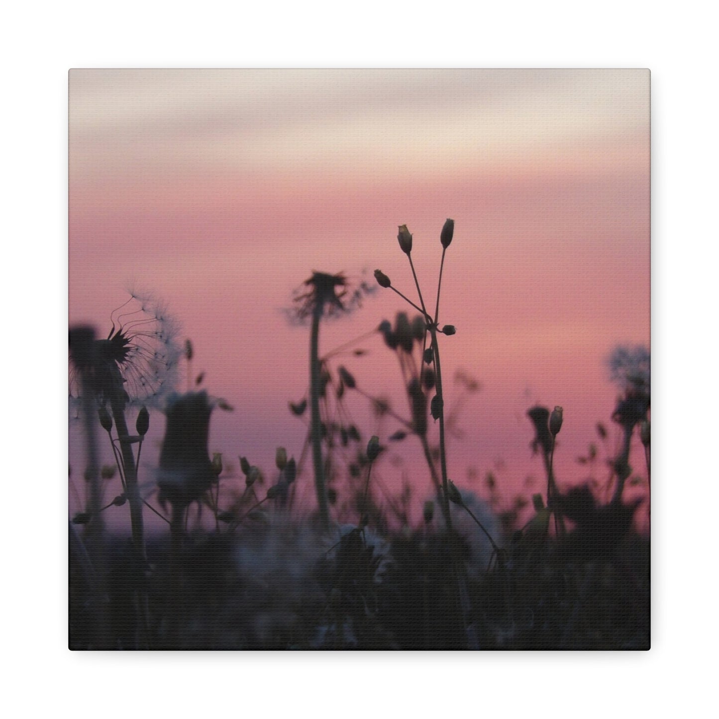 Canvas Wall Art - Silhouetted Wildflowers at Pink Sunset