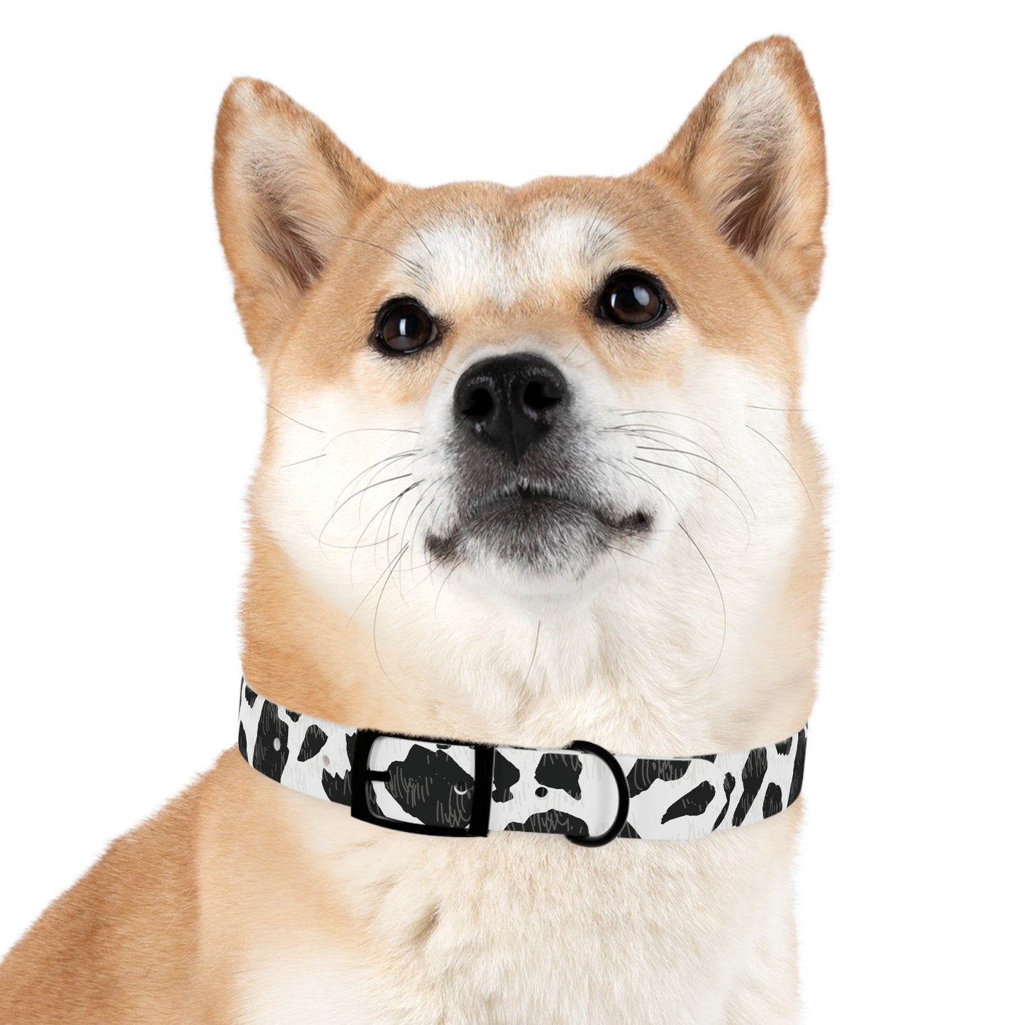 Cow Print Dog Collar — Black & White Spot Pattern