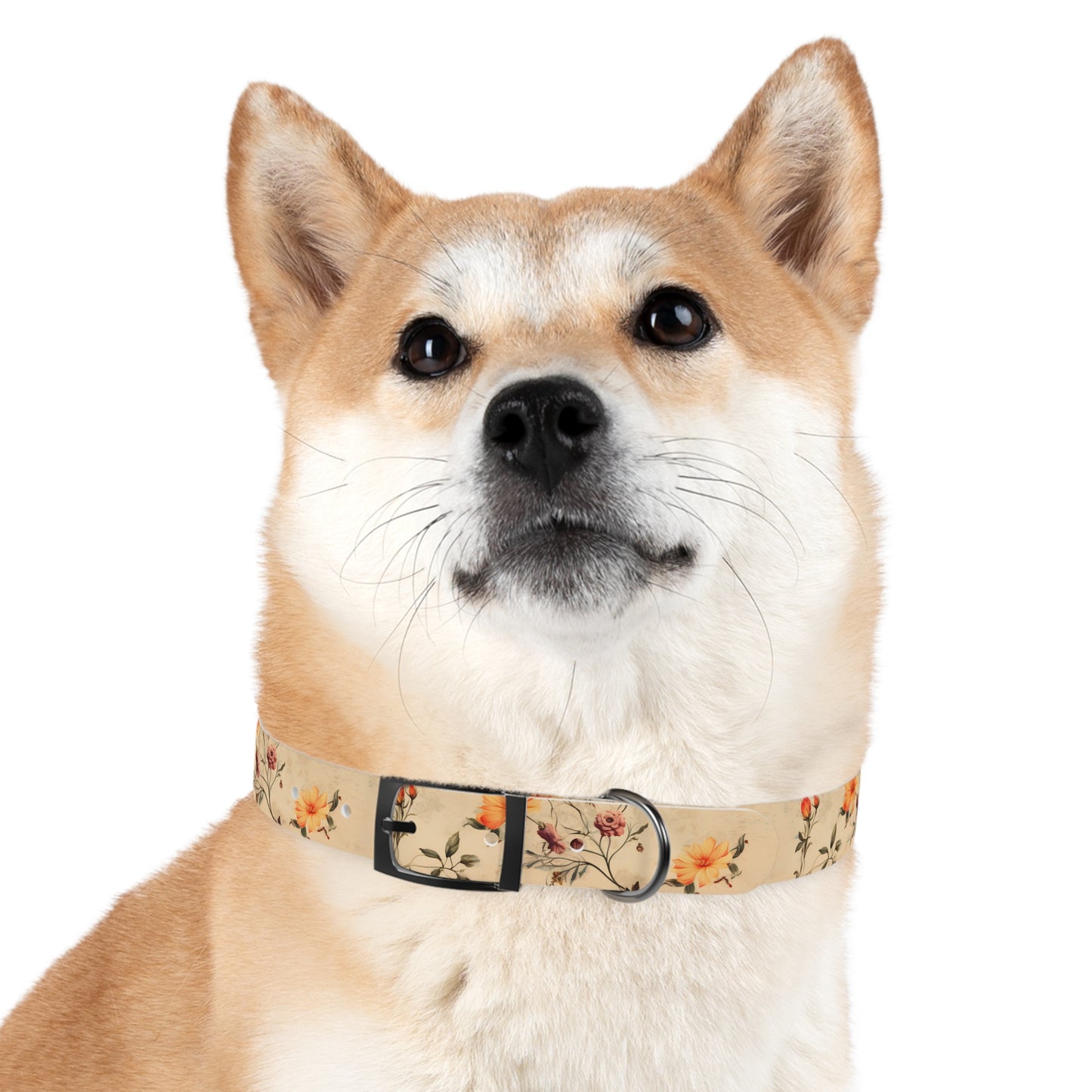 Floral Vintage Dog Collar – Peach Rose Print Pet Collar