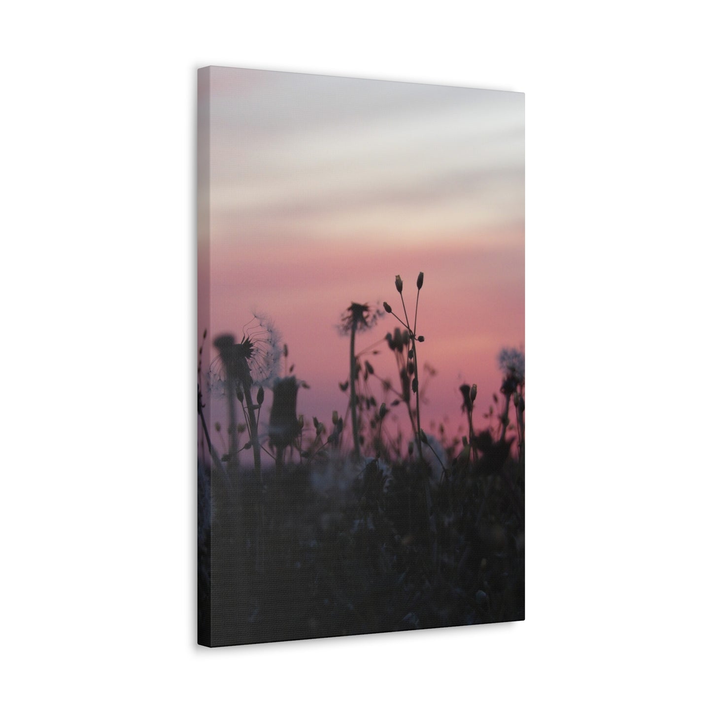 Canvas Wall Art - Silhouetted Wildflowers at Pink Sunset