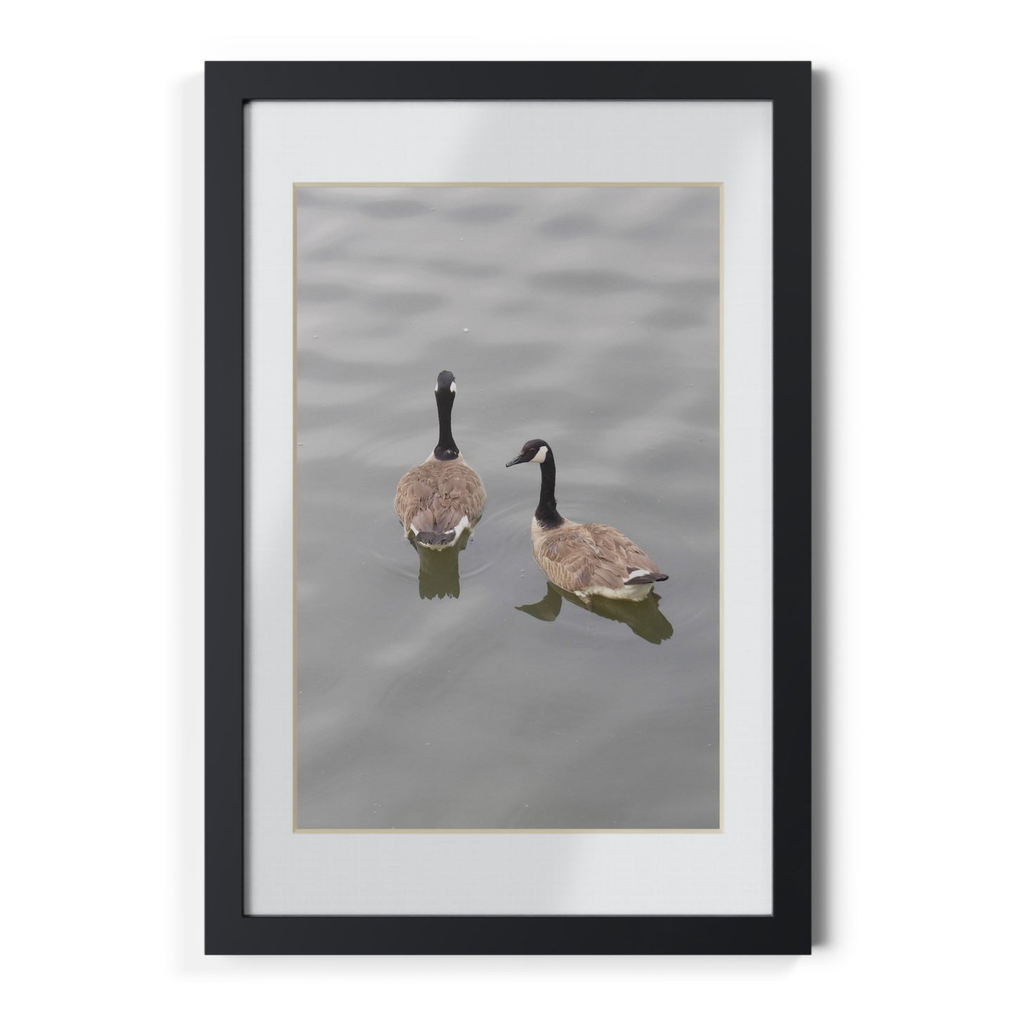 Black Framed Goose Photo Print — Minimal Wildlife Wall Art
