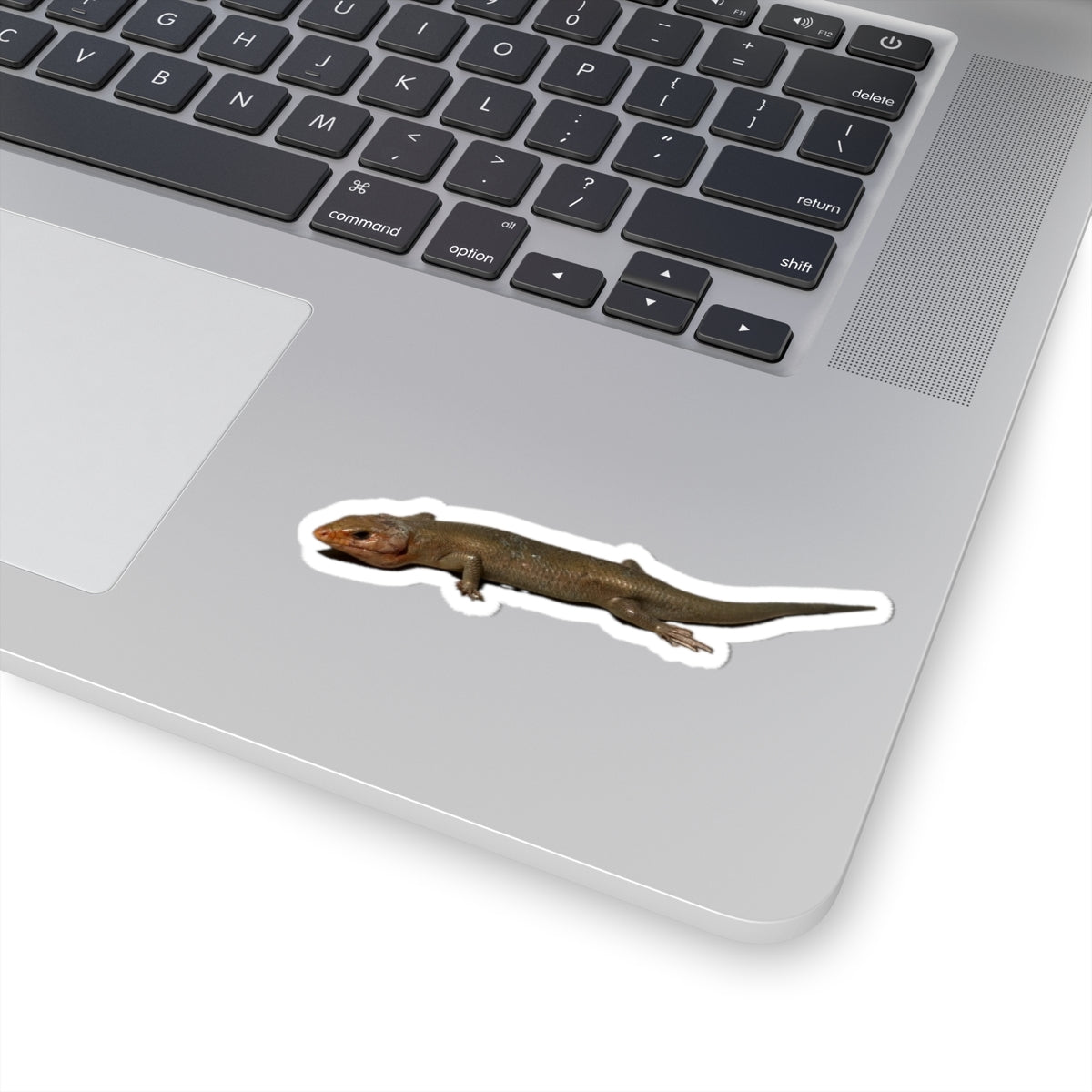 Brown Skink Lizard Kiss-Cut Sticker — Realistic Reptile Laptop Decal