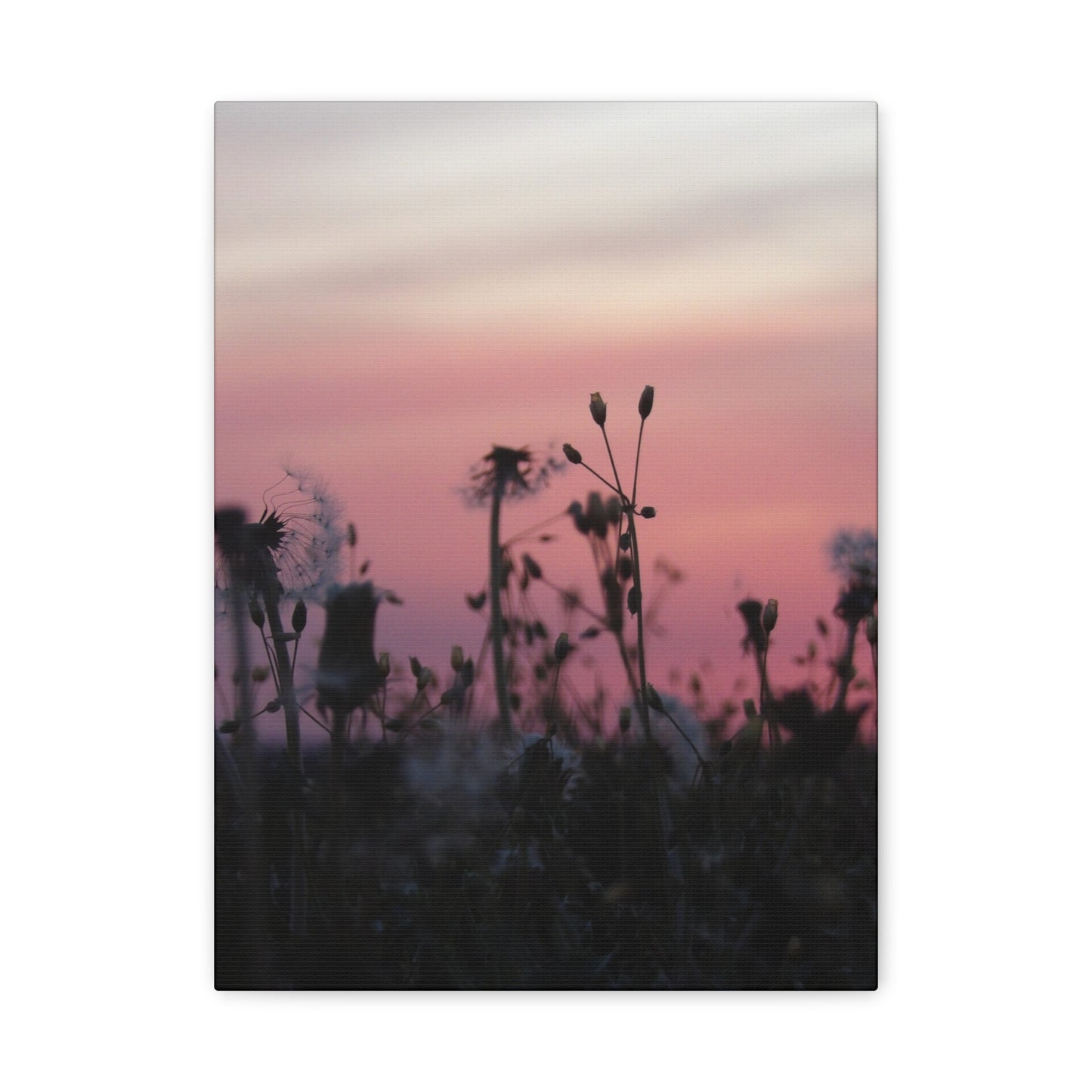 Canvas Wall Art - Silhouetted Wildflowers at Pink Sunset