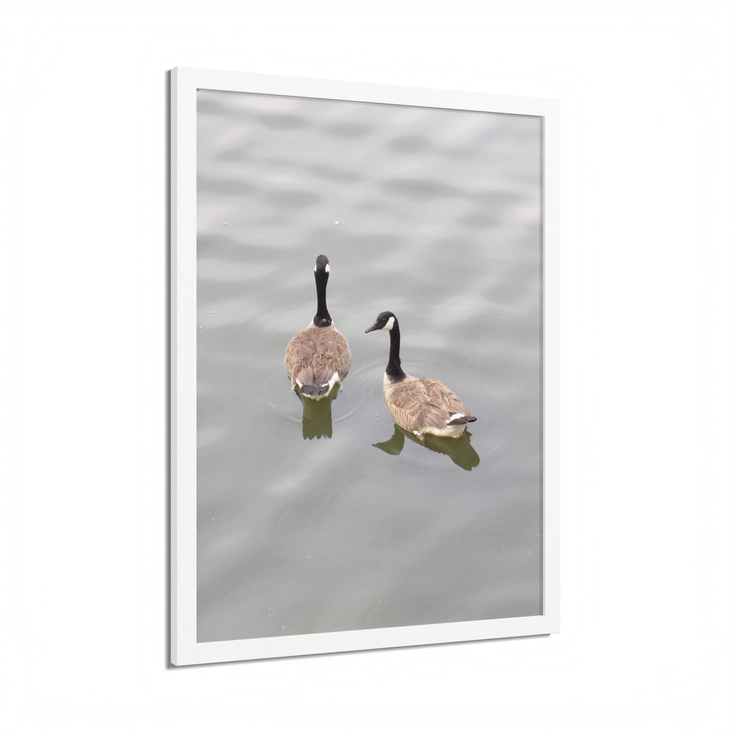 Canada Geese Wall Art Framed Photo Print — Serene Lake Nature Poster