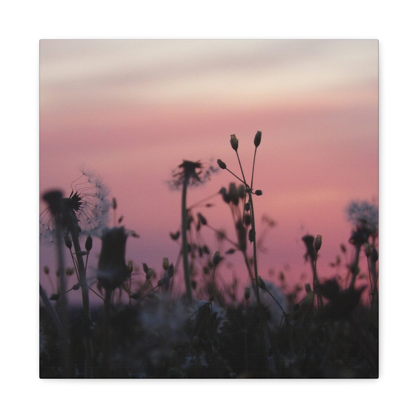 Canvas Wall Art - Silhouetted Wildflowers at Pink Sunset
