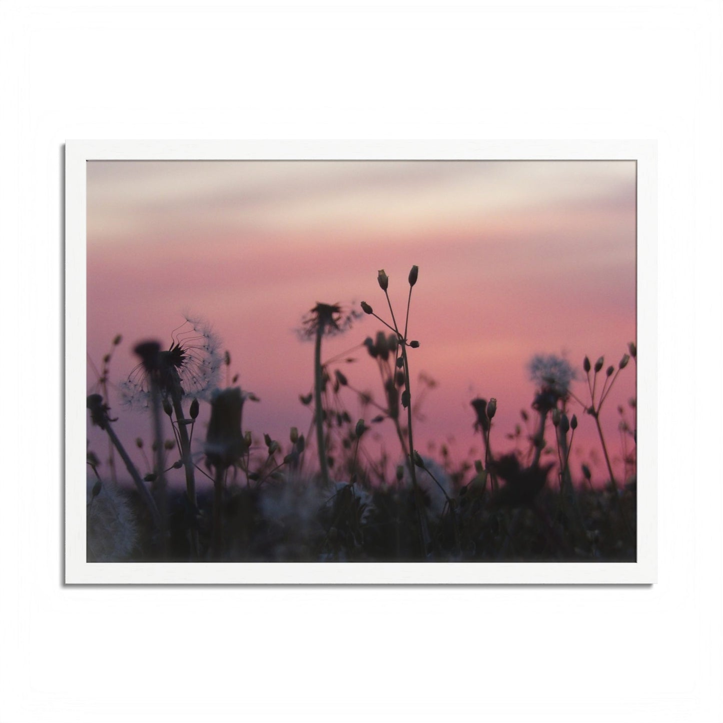 Sunset Meadow Framed Poster — Pink Sky Wildflower Wall Art